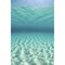 Posterazzi Bright sunlight ripples across a seafloor in the tropical Pacific Ocean Poster Print
